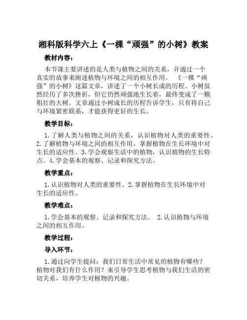 湘科版科学六上《一棵“顽强”的小树》教案