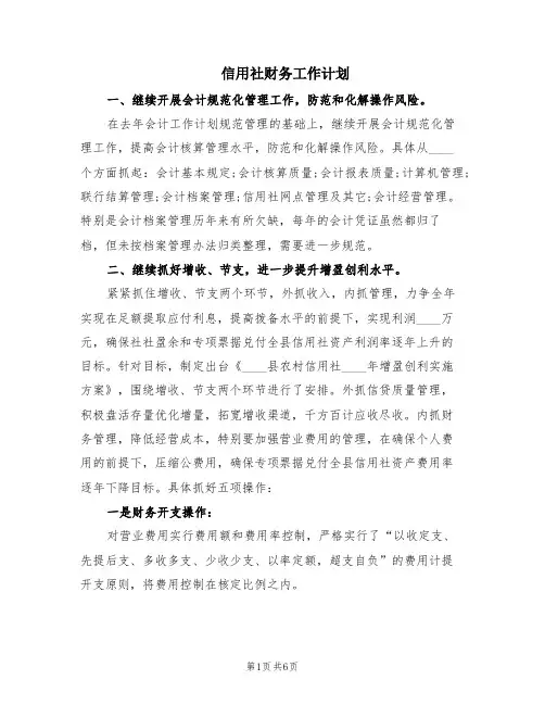 信用社财务工作计划(2篇)