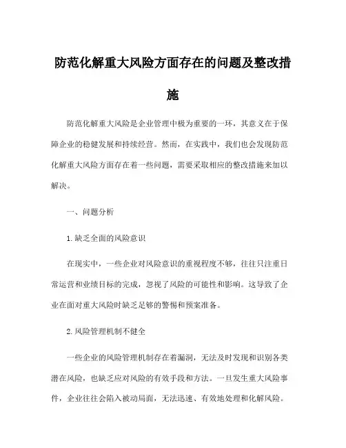 防范化解重大风险方面存在的问题及整改措施