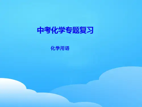 人教版中考化学专题复习：化学用语  课件 ppt