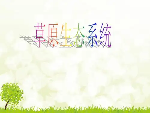 草原生态系统讲解【精选】
