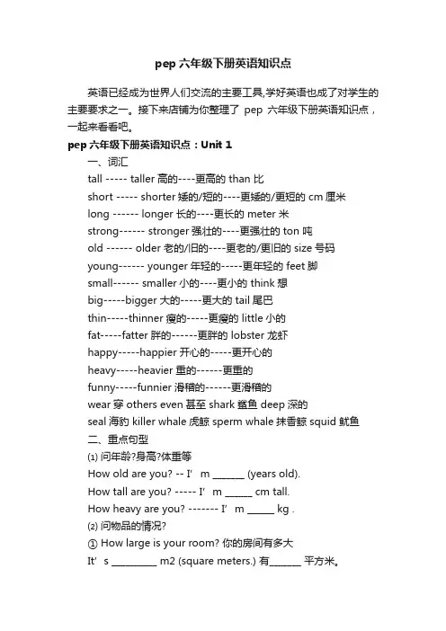 pep六年级下册英语知识点
