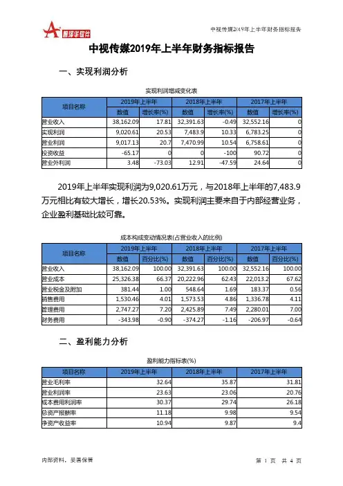 中视传媒2019年上半年财务指标报告