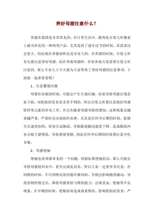 养好母猪注意什么？
