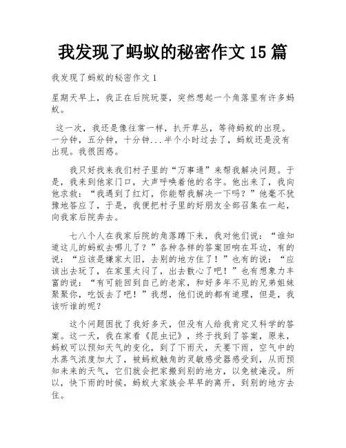 我发现了蚂蚁的秘密作文15篇