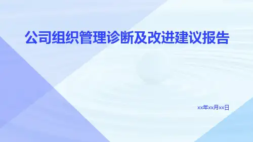 公司组织管理诊断及改进建议报告
