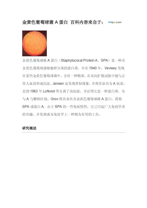 金黄色葡萄球菌蛋白a（spa）介绍[新版]
