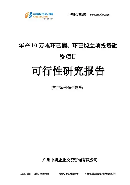 年产10万吨环己酮、环己烷融资投资立项项目可行性研究报告(非常详细)