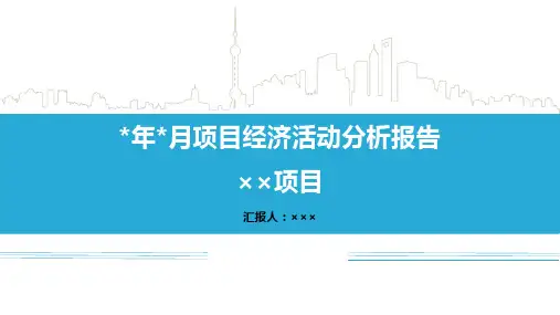 项目经济活动分析报告