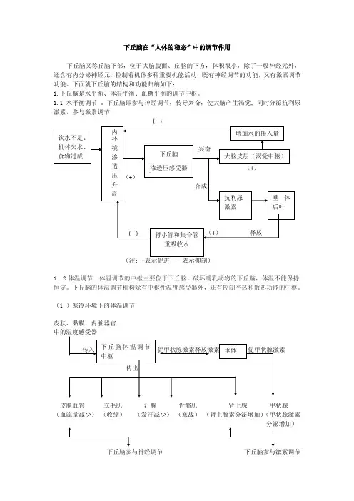 下丘脑在“人体的稳态”中的调节作用