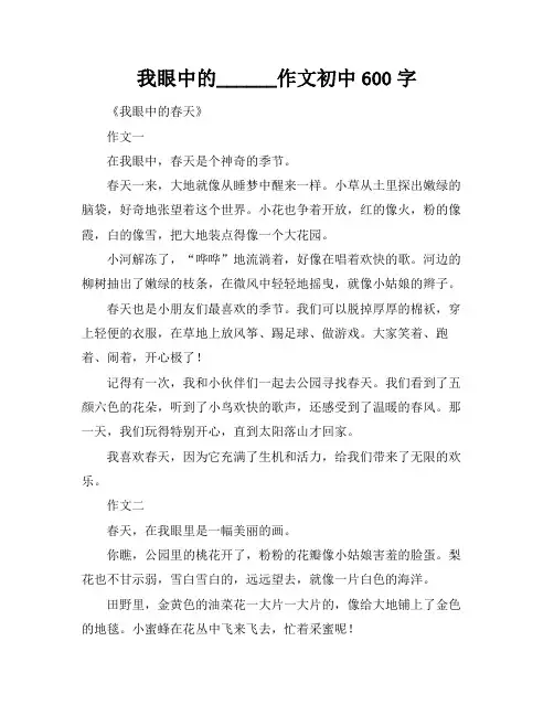 我眼中的______作文初中600字