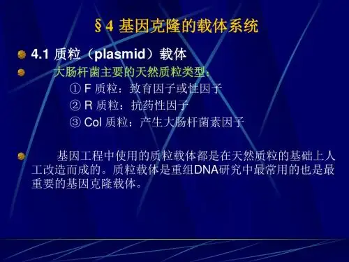 基因克隆的载体系统