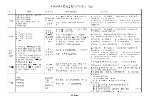 5项护理风险评估一览表