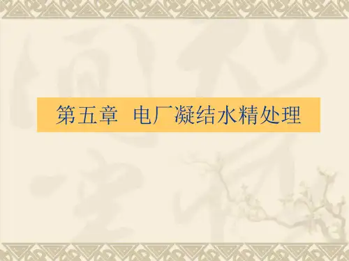 电厂凝结水精处理