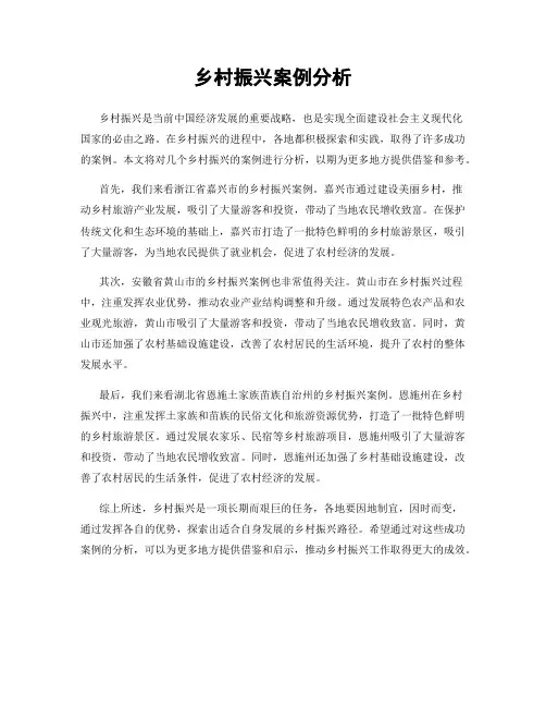 乡村振兴案例分析