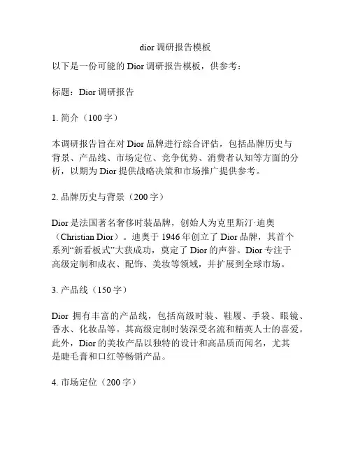 dior调研报告模板