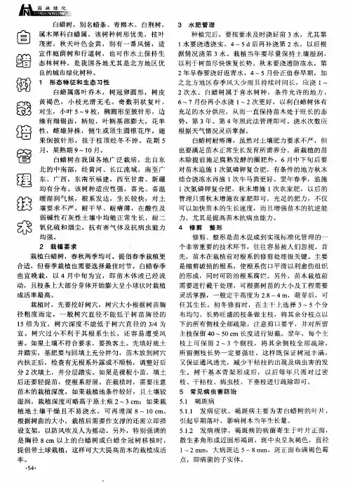 白蜡树栽培管理技术