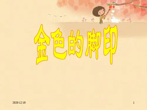 《金色的脚印》课件 (2)PPT教学课件