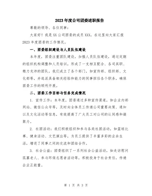 2023年度公司团委述职报告
