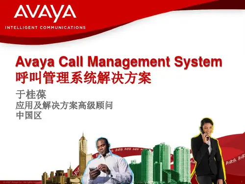 Avaya CMS