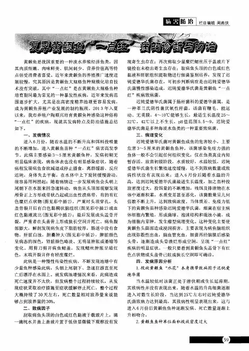 夏季黄颡鱼“一点红”病的诊断与防治