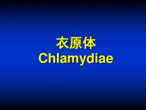 衣原体