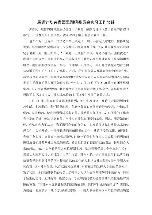 展翅计划共青团里湖镇委员会实习工作总结