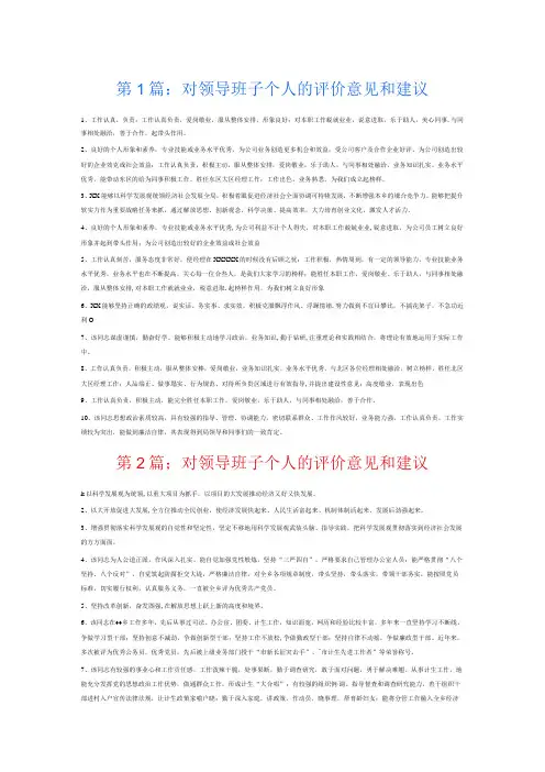 对领导班子个人的评价意见和建议7篇