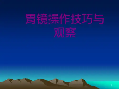胃镜操作技巧与观察培训ppt课件