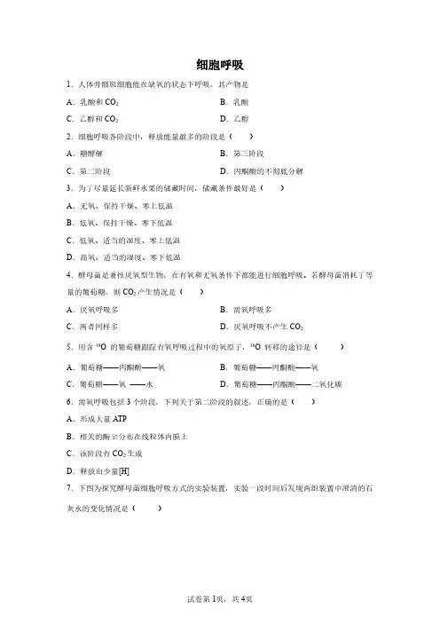 2023浙江高中学业水平合格考专题复习试题及答案解析：细胞呼吸