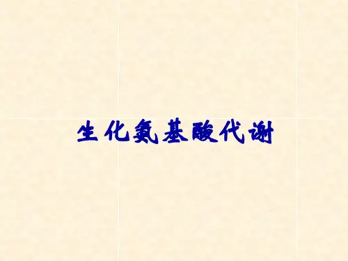 生化氨基酸代谢