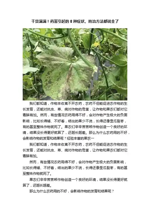干货满满！药害引起的8种症状、防治方法都说全了