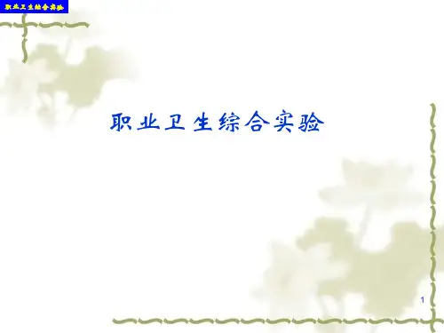 职业卫生综合实验