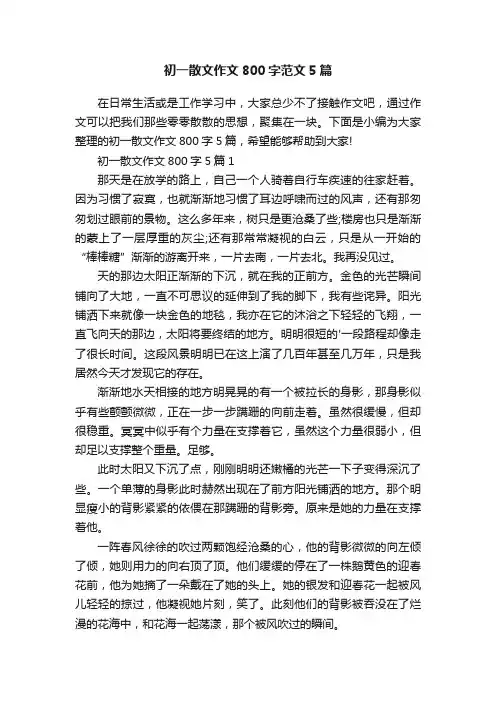 初一散文作文800字范文5篇