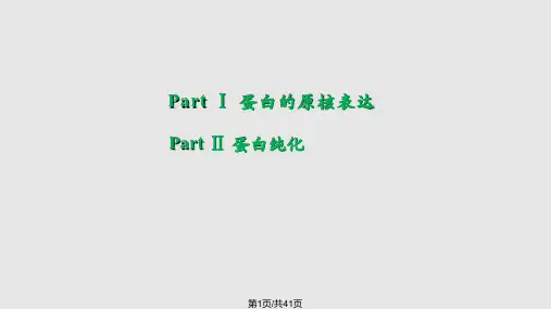 蛋白原核表达与纯化新生培训PPT课件