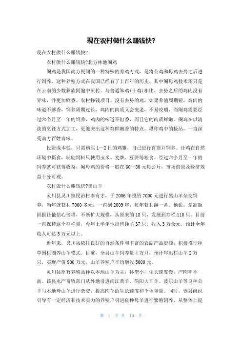 现在农村做什么赚钱快-