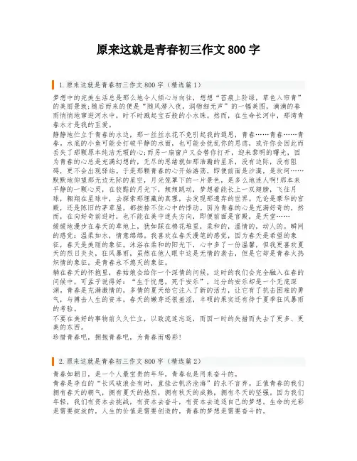 原来这就是青春初三作文800字
