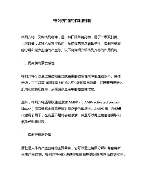 格列齐特的作用机制