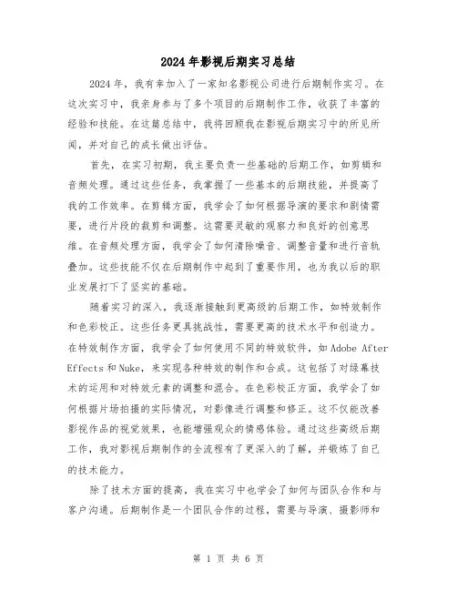 2024年影视后期实习总结（2篇）