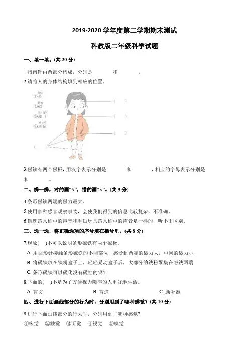 2020科教版二年级下册科学《期末检测卷》(附答案)
