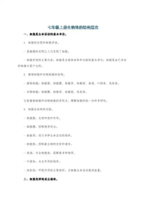 七年级上册生物体的结构层次