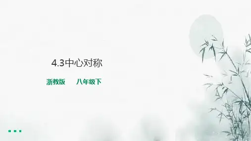 4.3中心对称课件 2021-2022学年浙教版数学八年级下册