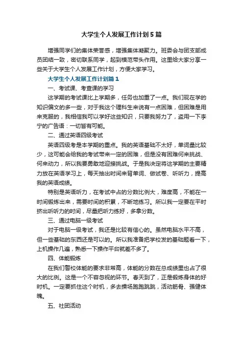 大学生个人发展工作计划5篇