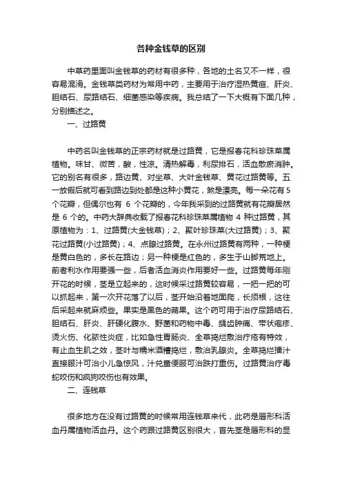 各种金钱草的区别