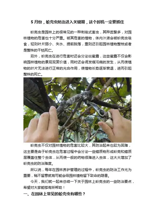 5月份，蚧壳虫防治进入关键期，这个时机一定要抓住