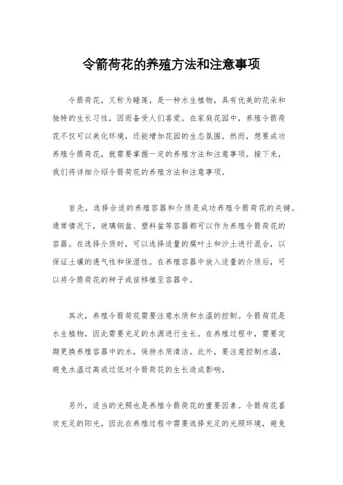 令箭荷花的养殖方法和注意事项