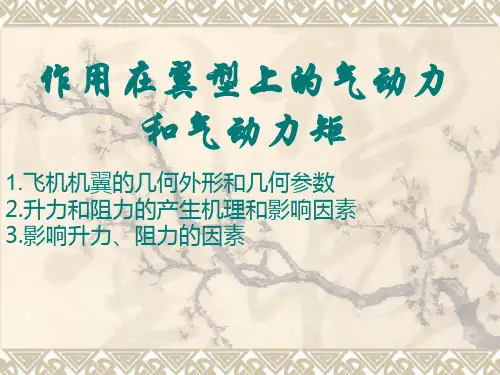 机翼的几何外形和气动力和气动力矩PPT课件