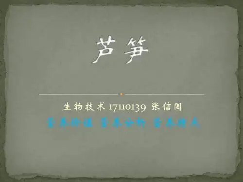 芦笋