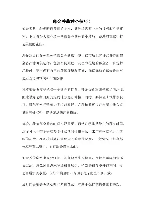 郁金香栽种小技巧!