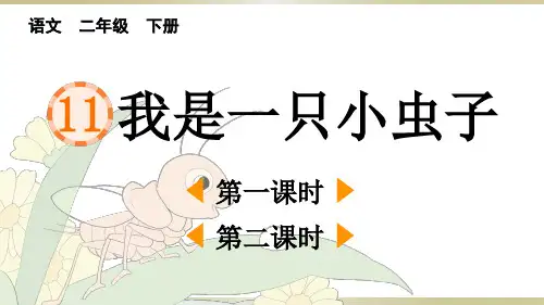 小学语文部编版二年级下册第11课《我是一只小虫子》课件(2023春)